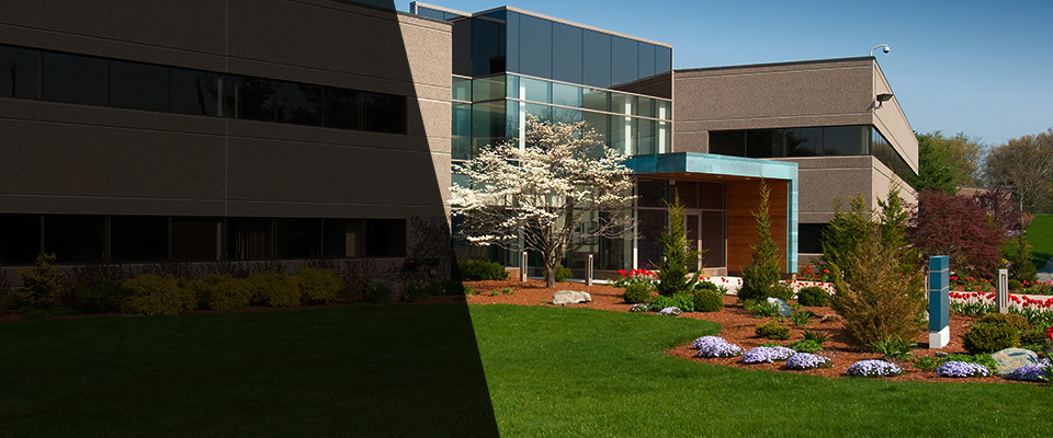 Blue Springs Landscapers