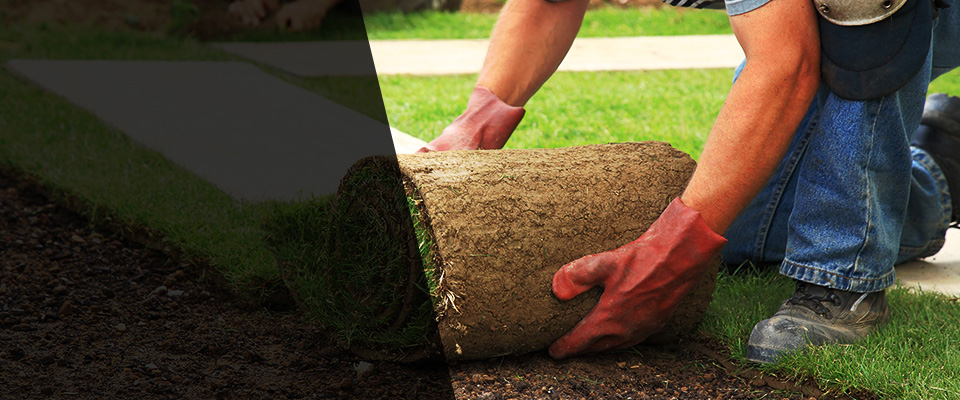 Blue Springs Landscapers